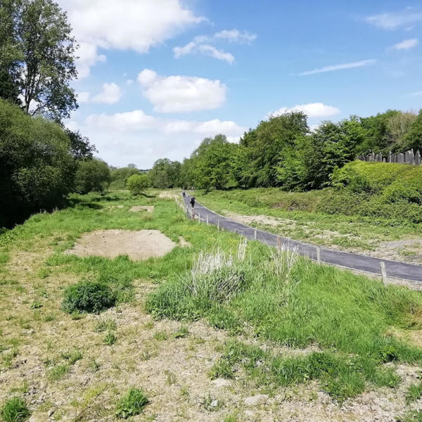 Lampeter University path upgrade