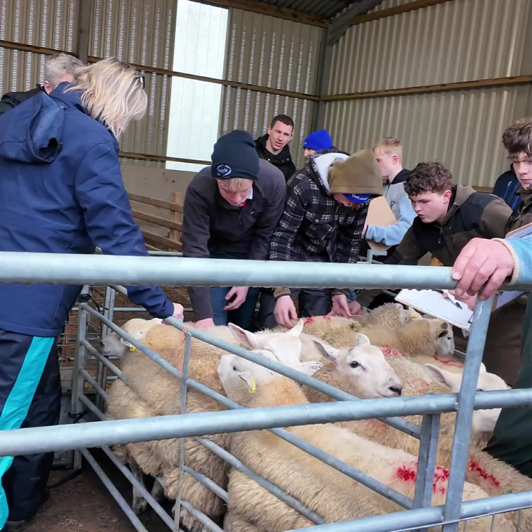 Blas ar y cyrsiau galwedigaethol sydd i ddod yn Llanbedr Pont Steffan