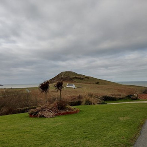 Mwnt