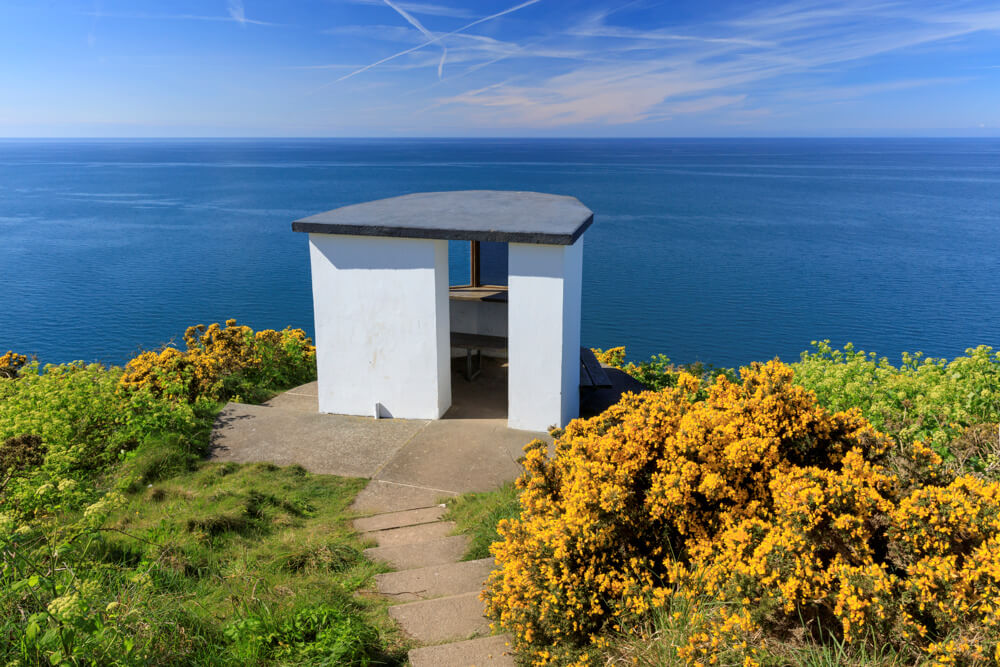 Gwylfan Bae Ceredigion