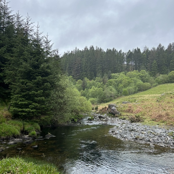 Taith Dyffryn Mynach, Pontarfynach