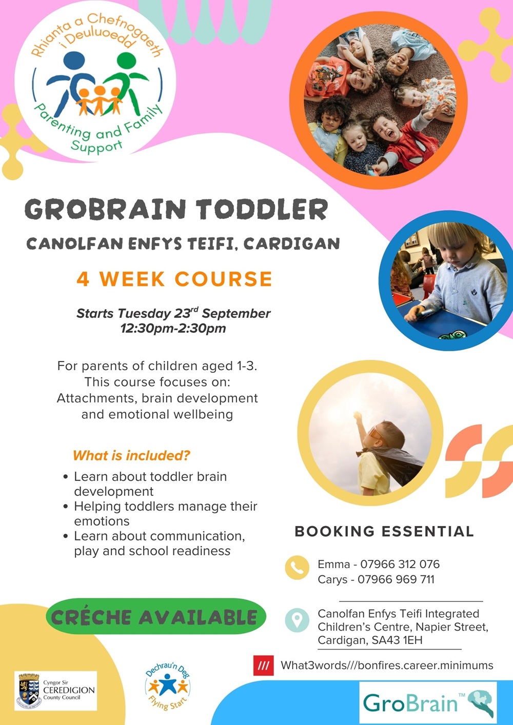 GroBrain Toddler Course
