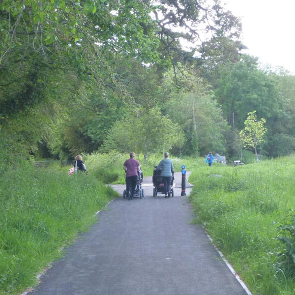 Bow Street to IBERS shared use path in use