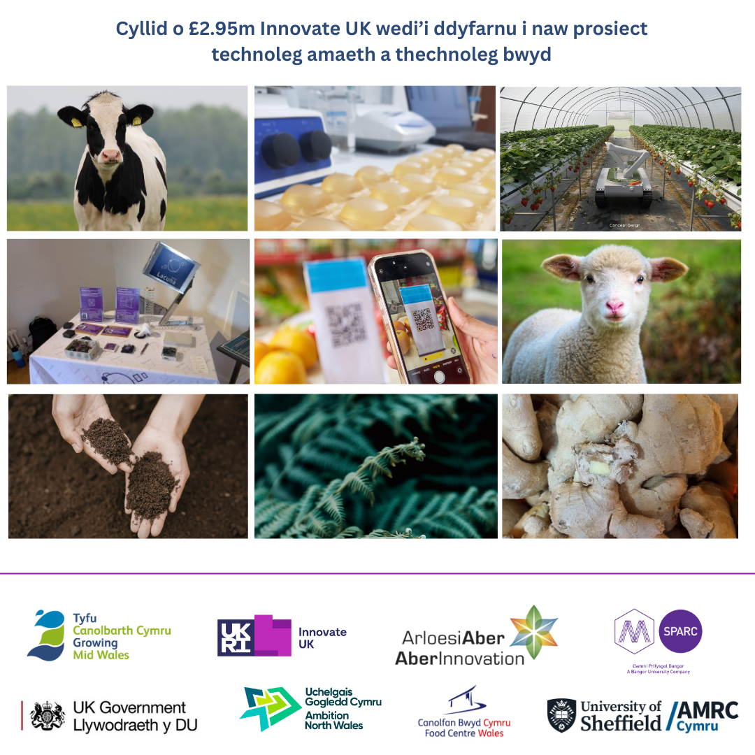 Cyllid o £2.95m Innovate UK wedi’i ddyfarnu i naw prosiect technoleg amaeth a thechnoleg bwyd