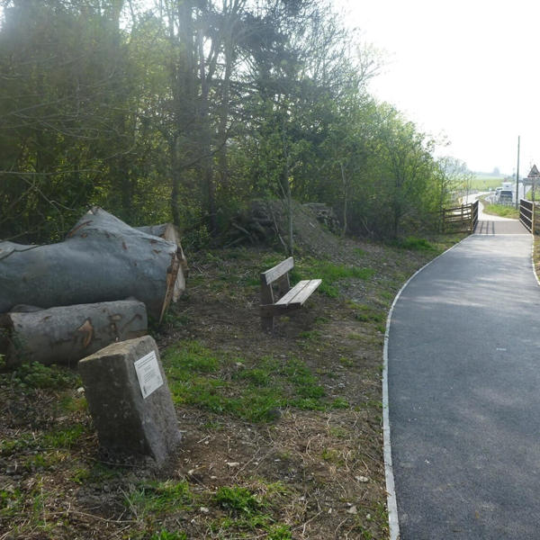 New active travel bridge in position post construction of the shared use path between Bow Street and IBERS