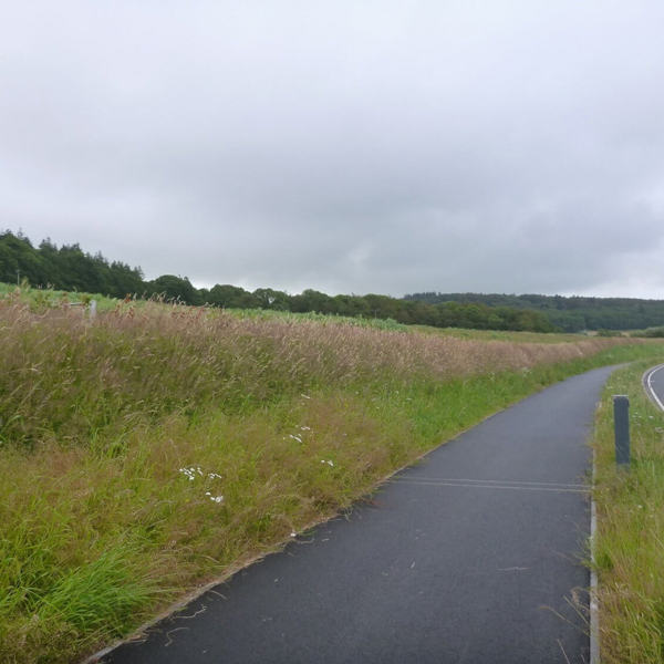 Bow Street to IBERS shared use path displaying high construction standard