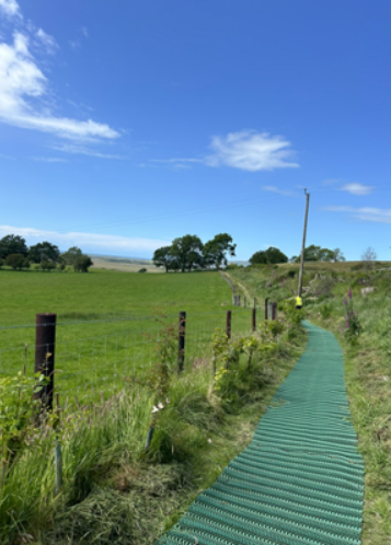 Tal-y-Bont - Taliesin