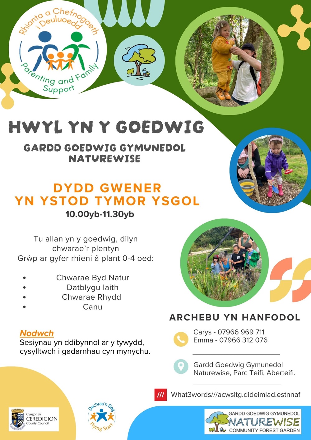 Hwyl yn y Goedwig