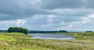 Crwydro Ceredigion: cyfleoedd marchogaeth a beicio ar draws y Sir