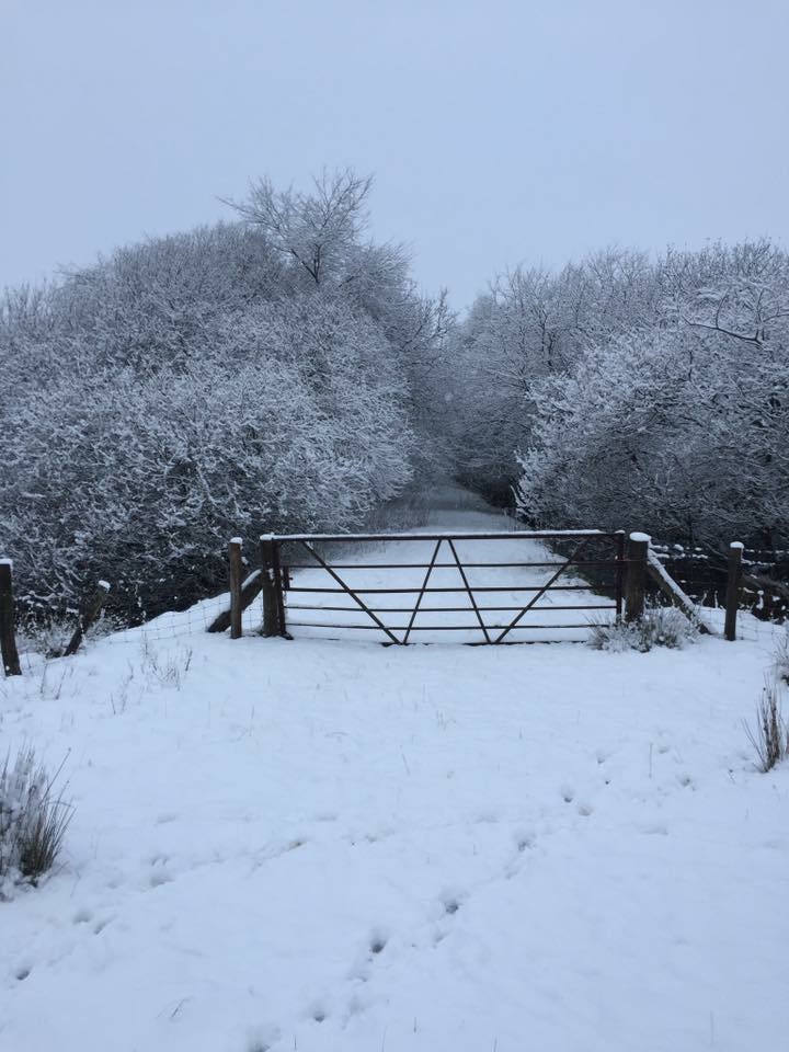 Snow: schools closed in south Ceredigion
