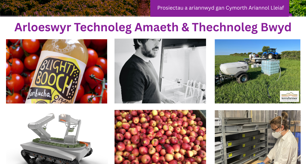 Hwb i arloesi ym maes Technoleg Amaeth a Thechnoleg Bwyd yng nghanolbarth a gogledd Cymru wrth i fusnesau lleol gael cymorth