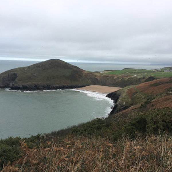 Ferwig - Mwnt